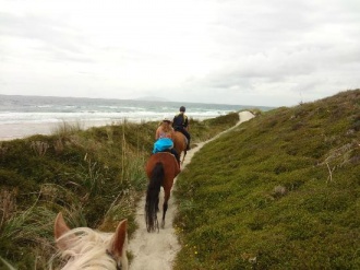 Pakiri Beach Horse Rides, Wellsford